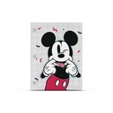 CARPETA MOOVING N3 CON CORDON LICENCIA (L13017)