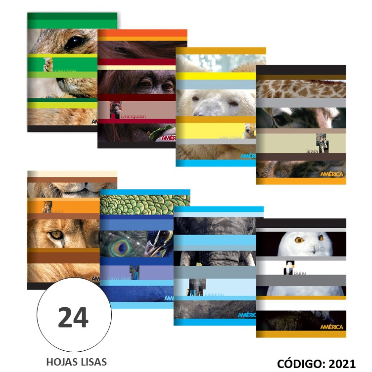 CUADERNO TAPA BLANDA AMERICA LISO X24hjs. (L2021)
