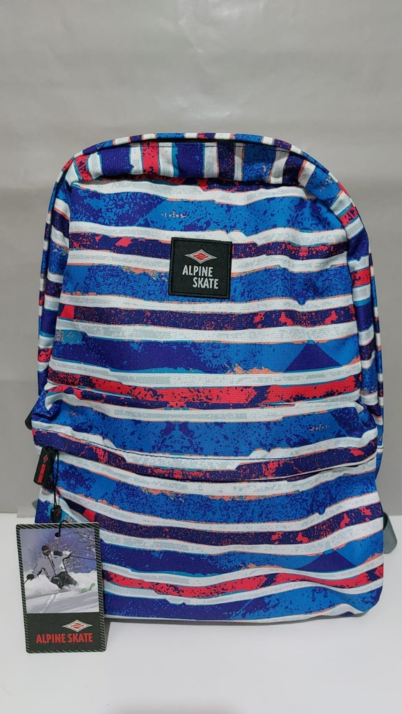 MOCHILA 17" OFERTA ALPINE SKATE ESPALDA (L121138)