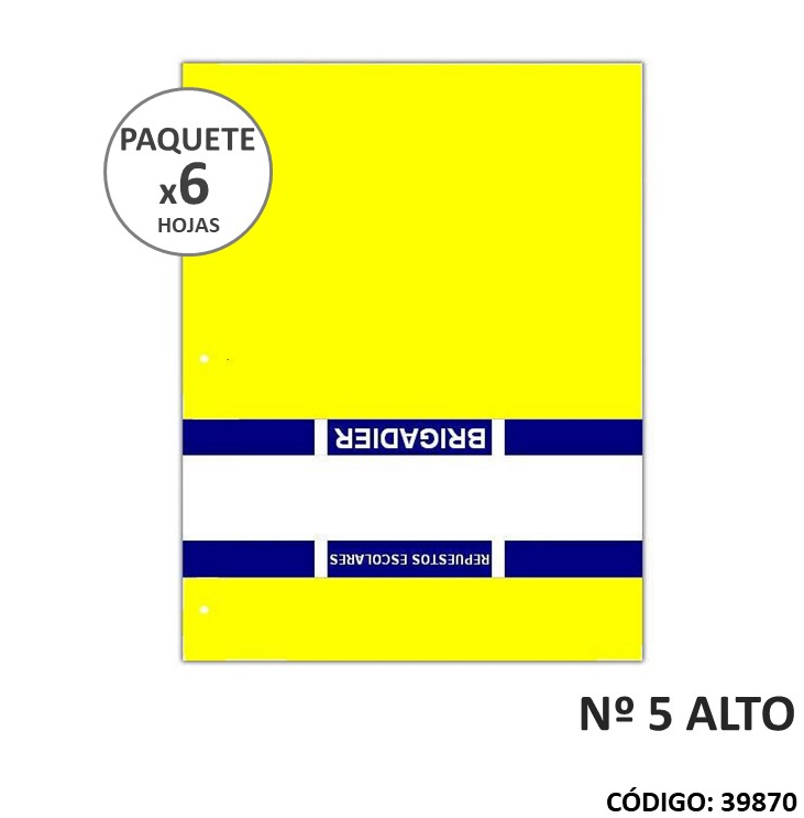 REPUESTO DIBUJO BRIGADIER N5 COLOR (L39870)