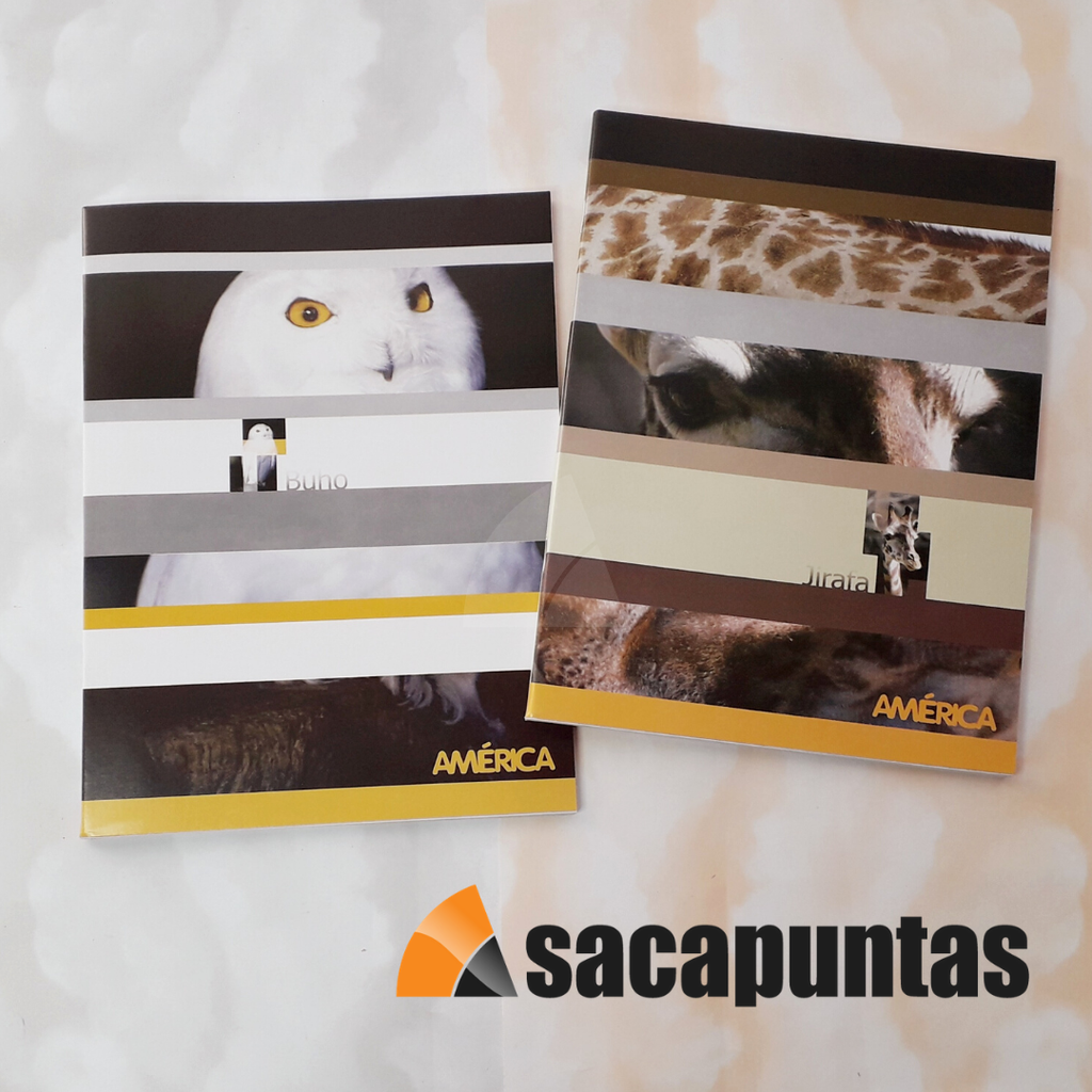 CUADERNO 16x21 AMERICA TAPA BLANDA RAYADO x 48hjs. (L1080)