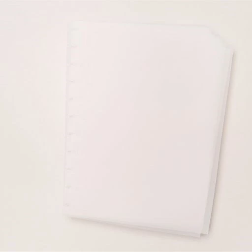 FOLIOS A4 PARA CUADERNO INTELIGENTE A4 X5 UNIDADES (M108)