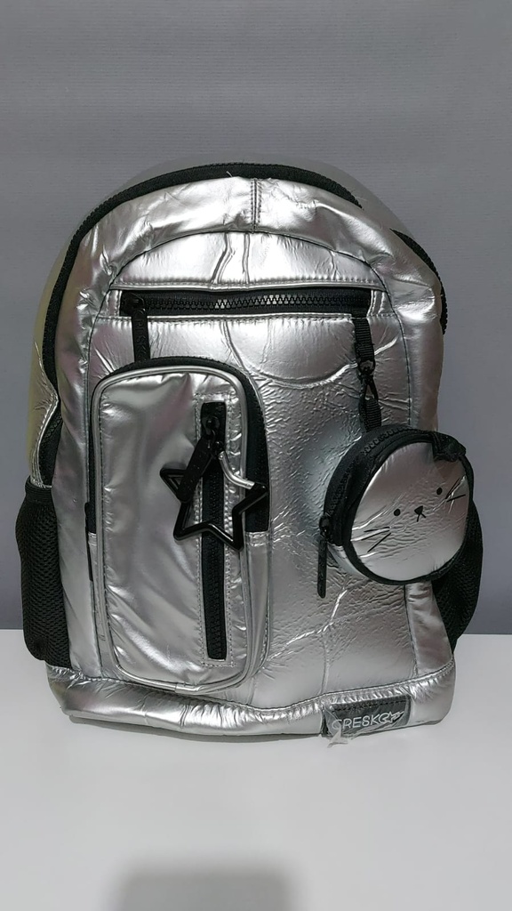 MOCHILA 16" CRESKO URBANA PLATA ESPALDA (L24283)