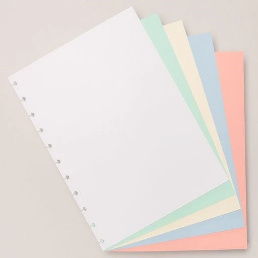 REPUESTO CUADERNO INTELIGENTE A4 50hjs. COLORIDO (L96170)