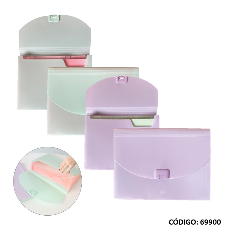 CLASIFICADOR A4 FW 13 DIVISIONES PASTEL(L69900)