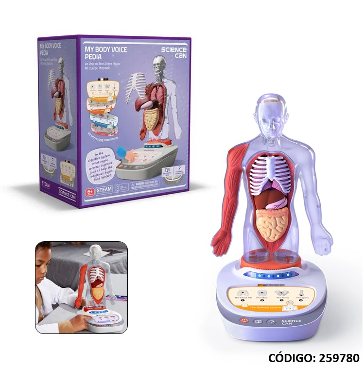 CUERPO HUMANO INTERACTIVO CIENCIA (J259780)