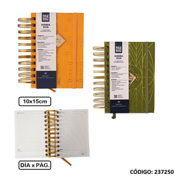 [L237250] AGENDA 2026 BIG LIFE N6 ESPIRAL DIA POR PAGINA  (L237250)