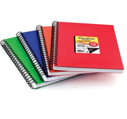 [L116880] CUADERNO A4 TAPA DURA TRIUNFANTE PVC ### x120h (L116880)