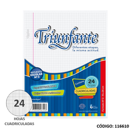 [L116610] REPUESTO N3 TRIUNFANTE CUADRICULADO  x 24hjs. (L116610)