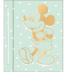 CARPETA MOOVING N3 CON CORDON LICENCIA (L13017)