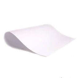 CARTULINA COLOR (L39020VP)