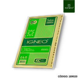 [L189020] INDICE IGNEO 502 PARA CARPETA ESQUELA (L189020)