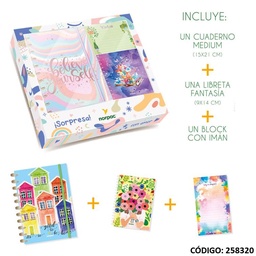 [L258320] SET DE ANOTADORES NORPAC (L258320)