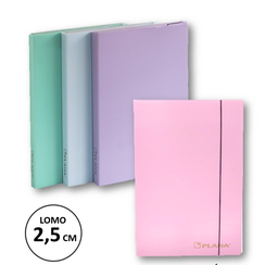 [L208110] CAJA ARCHIVO PLASTICA 2.5CM. PASTEL (L208110)