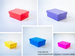 [L208130] CAJA PLANA PLASTICA 12X22X31 COLOR CON TAPA (L208130)